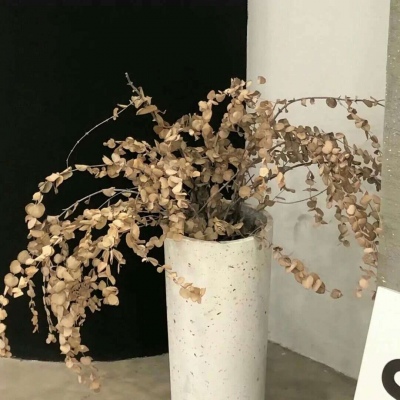 泗洪福瑞交流群